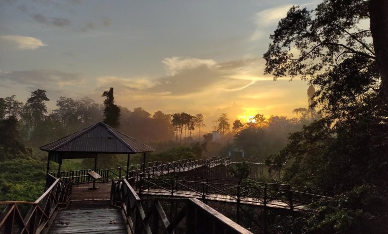taman nasional kutai bontang