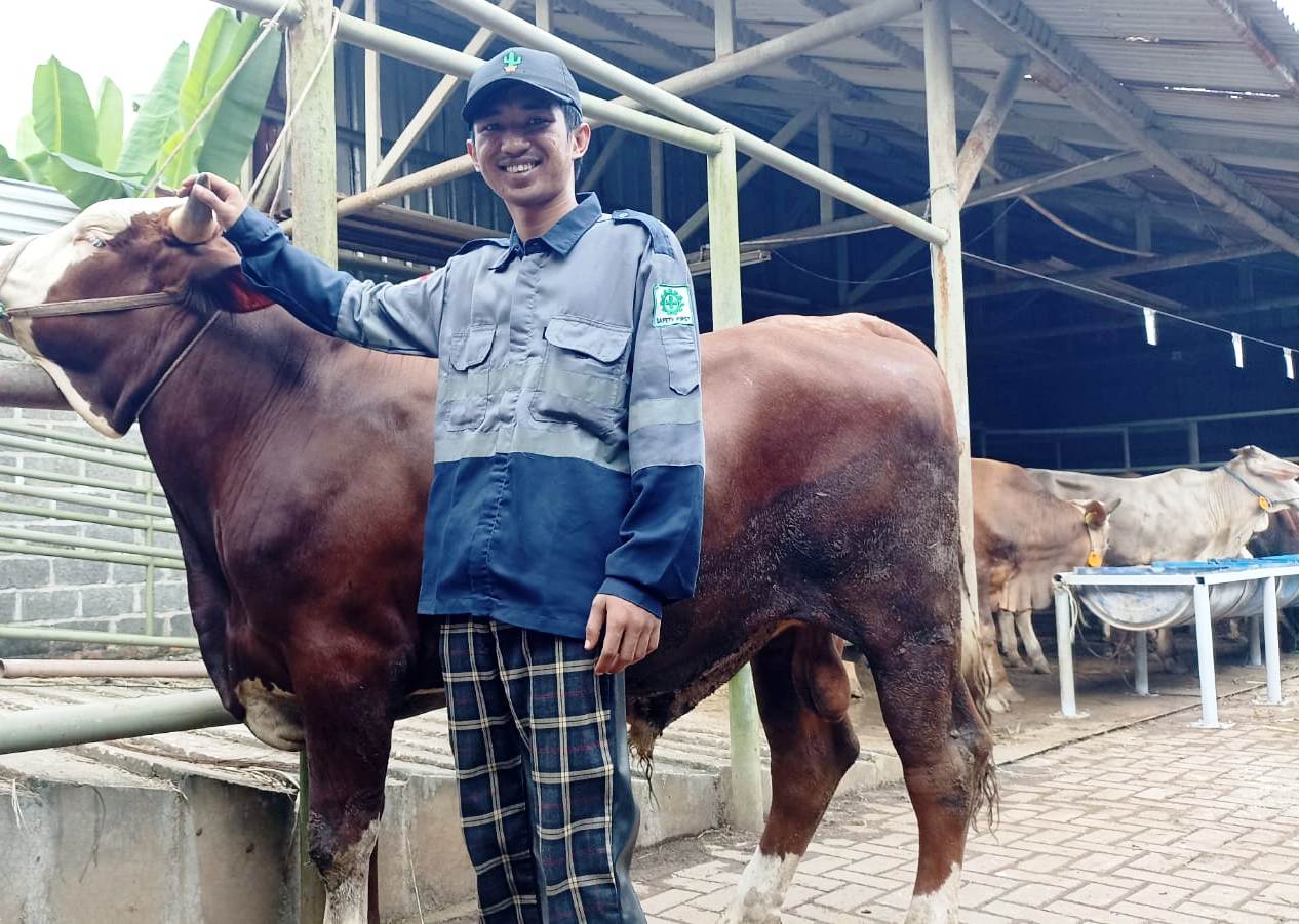 Transafe Konsisten Berbagi Qurban Di Tengah Ancaman Resesi