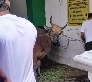 Masjid Nurul Huda Tanjung Barat qurban
